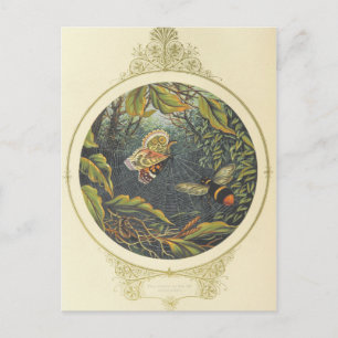 Vintage Insect Postcard