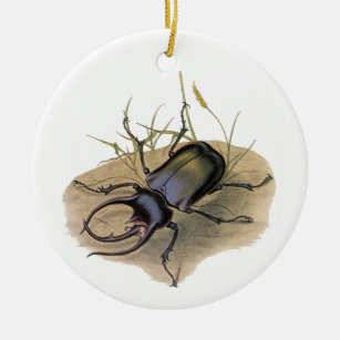 Vintage Insects and Bugs, Rhino Rhinoceros Beetle Ceramic Ornament