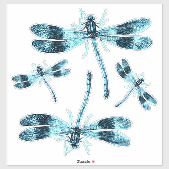 Vintage Insects Blue Damsel Dragonflies Etymology (Sheet)