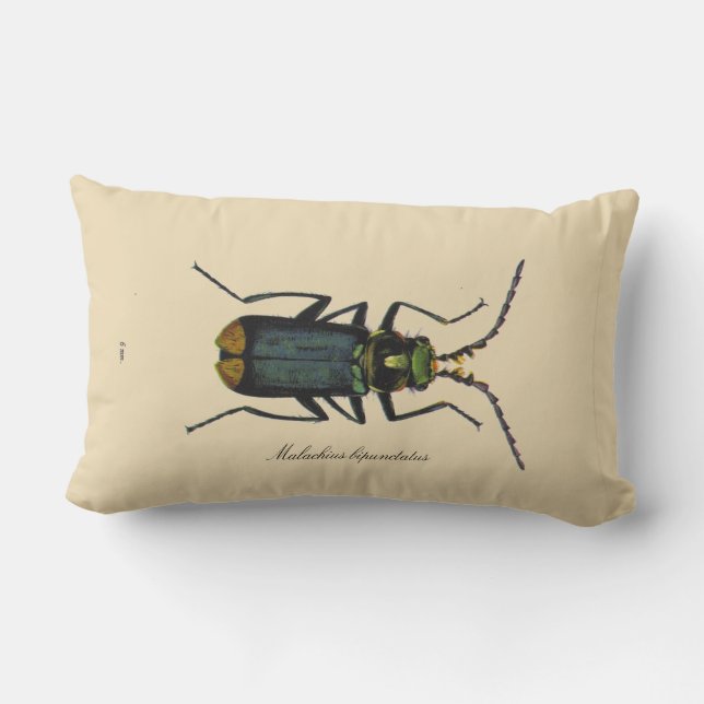 Vintage Insects Malachite Beetle Entomology Revers Lumbar Pillow (Back)