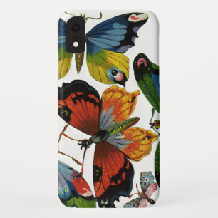Vintage Insects or Bugs, Beautiful Butterflies iPhone XR Case