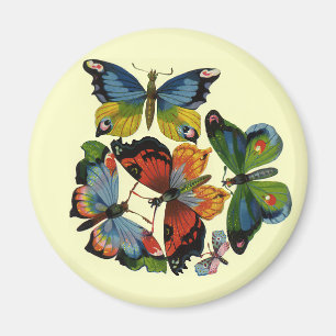 Vintage Insects or Bugs, Beautiful Butterflies Magnet
