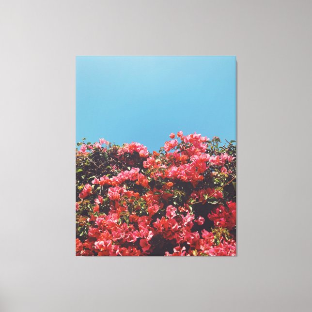 Vintage Inspired Bougainvillea Flowers California Canvas Print (Front)