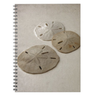 Vintage Inspired Sand Dollars Notebook