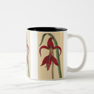 Vintage Iris Mug