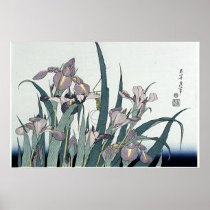 Vintage Irises And A Locust by Katsushika Hokusia Poster
