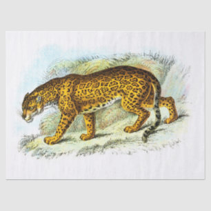 Vintage Jaguar Illustration Decoupage Tissue Paper