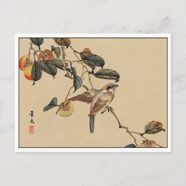 Vintage Japanese Art Bird in Tree Postcard (Front)