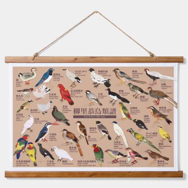 Vintage Japanese Bird Atlas Illustration Hanging Tapestry (Front)