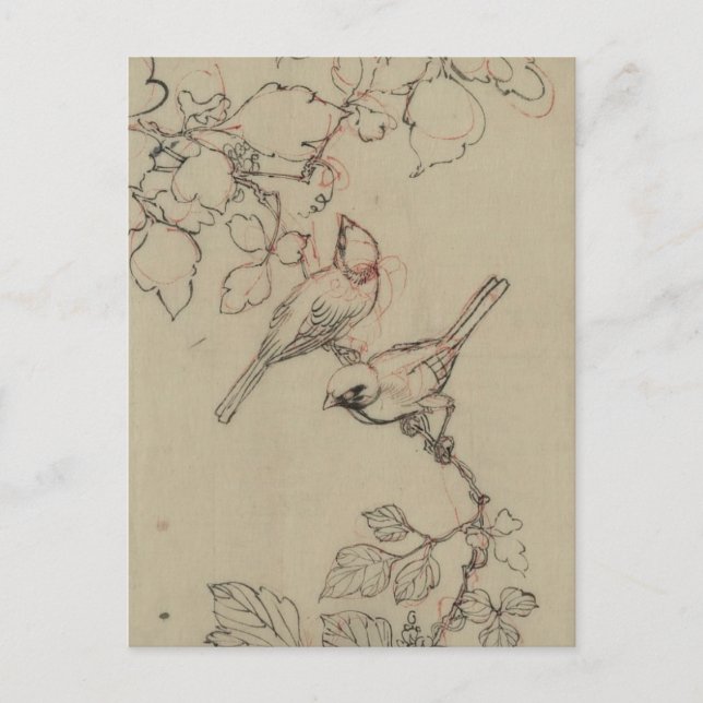 Vintage Japanese Birds Image Postcard (Front)