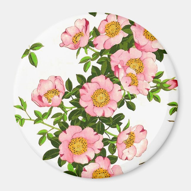 Vintage Japanese Cherry Blossoms, Pink and Gold Magnet (Front)