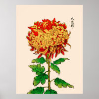 Vintage Japanese Chrysanthemum. Gold and Orange