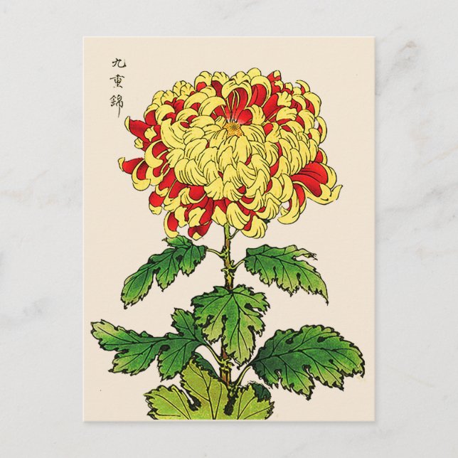 Vintage Japanese Chrysanthemum. Mustard Yellow Postcard (Front)