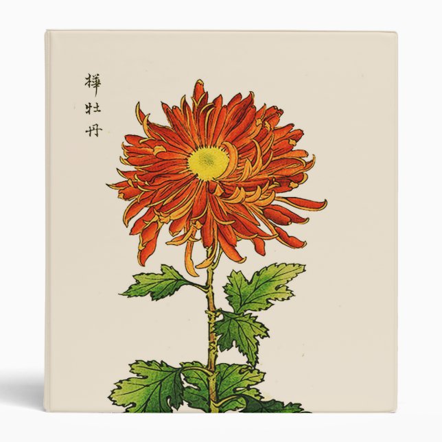 Vintage Japanese Chrysanthemum. Orange and Gold Binder (Front)