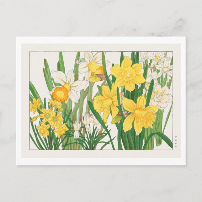 Vintage Japanese Daffodil Woodblock Print Postcard (Front)