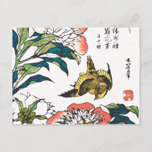 Vintage Japanese drawing, Peonies and Sparrow Postcard