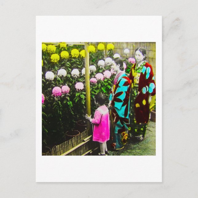 Vintage Japanese Family at Chrysanthemum Show Postcard (Front)