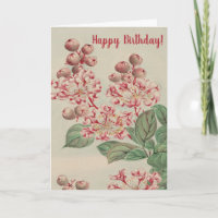 Vintage Japanese Fine Art Cherry Blossom Birthday 