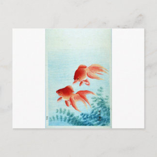 Vintage Japanese Fish Print Postcard