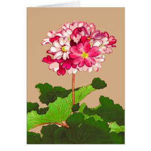 Vintage Japanese Hydrangea. Pink and Green