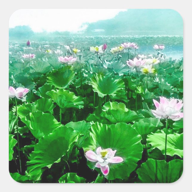 Vintage Japanese Lotus Pond Old Japan Square Sticker (Front)