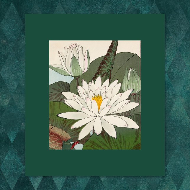 Vintage Japanese Print Water Lilies (japanese waterlily print given a dark green background.)