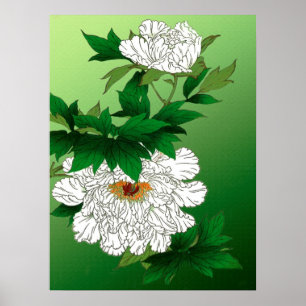 Vintage Japanese Sketch of Large White Peony Poster