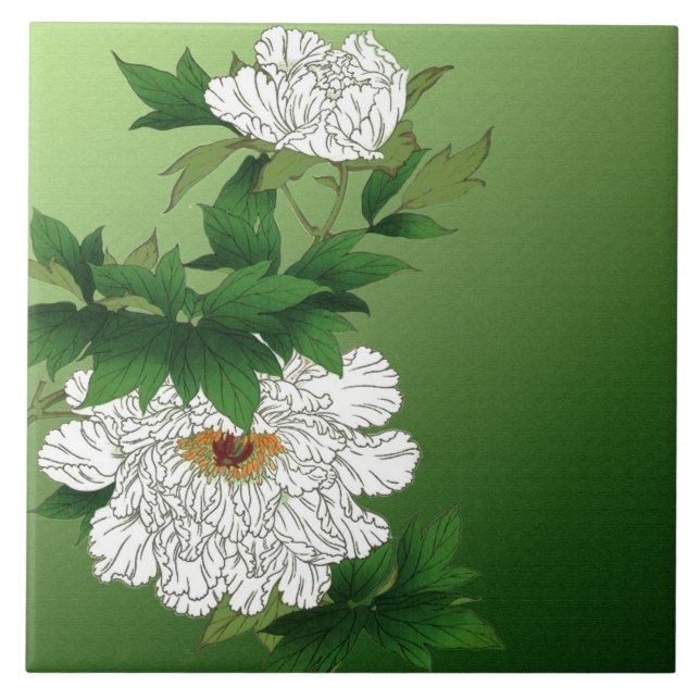 Vintage Japanese Sketch of Large White Peony Tile (Front)