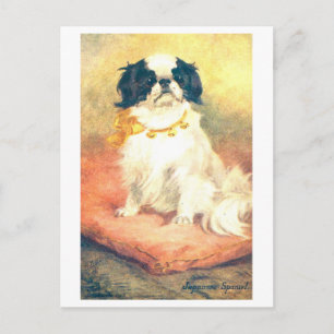 Vintage Japanese Spaniel Postcard