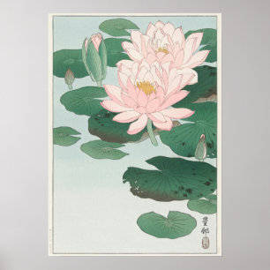 Vintage Japanese Water Lily by Ohara Koson Poster