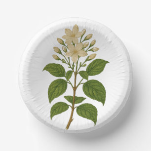 Vintage Jasmine Paper Plate