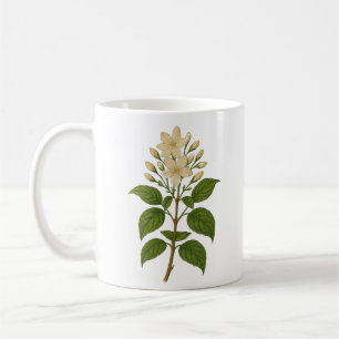 Vintage Jasmine tea and Coffee Mug