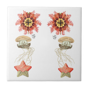 Vintage Jelly Fish Starfish Coral Tile