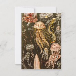 Vintage Jellyfish Antique Jelly Fish Illustration RSVP Card
