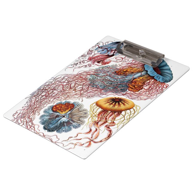 Vintage Jellyfish by Ernst Haeckel, Discomedusae Clipboard (Angled)