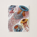 Vintage Jellyfish by Ernst Haeckel, Discomedusae Jigsaw Puzzle<br><div class="desc">Sturdy cardboard stock puzzle with sizes ranging from 30 up to 1014 pieces! Vintage illustration marine life biology design by Ernst Haeckel. A variety of colorful jellyfish animals swimming in the waters of the sea. Jelly fish are free swimming aquatic animals with an umbrella shaped body and long trailing tentacles....</div>