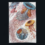 Vintage Jellyfish by Ernst Haeckel, Discomedusae Kitchen Towel<br><div class="desc">Vintage illustration marine life biology design by Ernst Haeckel. A variety of colourful jellyfish animals swimming in the waters of the sea. Jelly fish are free swimming aquatic animals with an umbrella shaped body and long trailing tentacles. They can be found in all of the oceans and some in freshwater...</div>