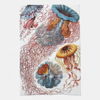 Vintage Jellyfish by Ernst Haeckel, Discomedusae Kitchen Towel