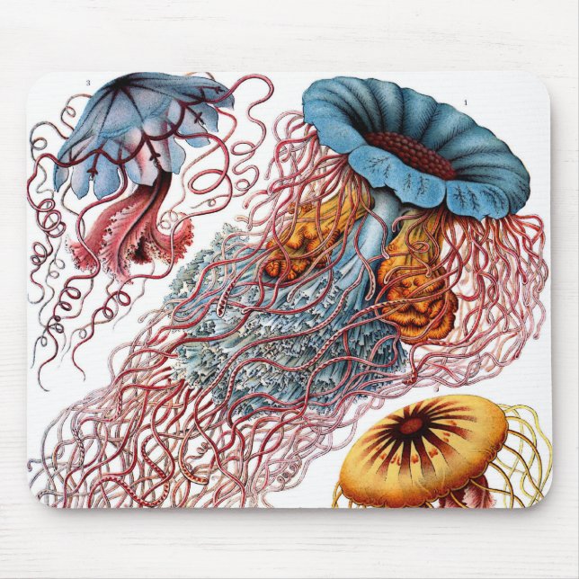 Vintage Jellyfish by Ernst Haeckel, Discomedusae Mouse Pad (Front)