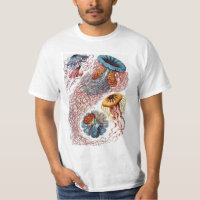 Vintage Jellyfish by Ernst Haeckel, Discomedusae