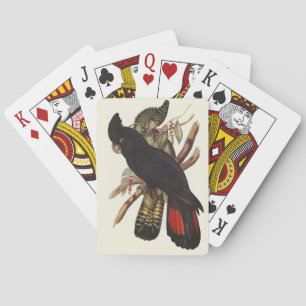  Vintage John Gould Red-Tailed Black Cockatoo Art Playing Cards