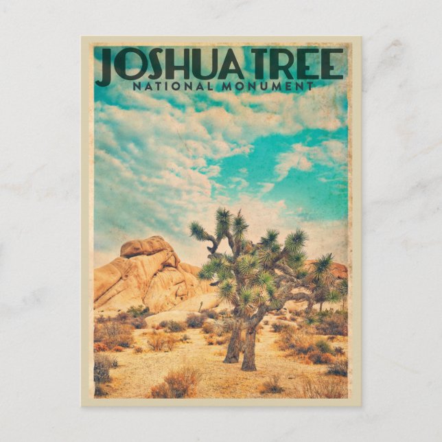 Vintage Joshua Tree Travel Postcard (Front)