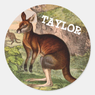 Vintage kangaroo with name classic round sticker