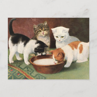 Vintage Katzen und Milch Postcard