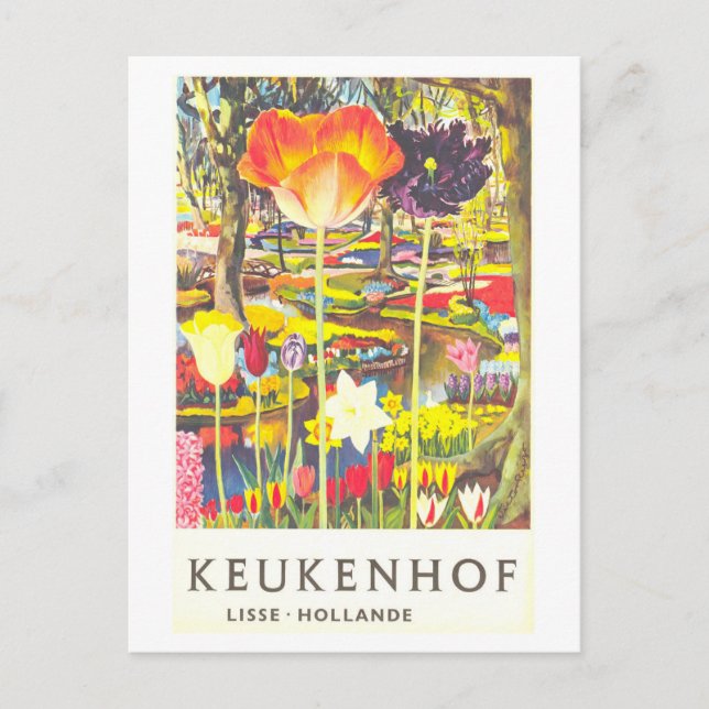 Vintage Keukenhof Holland Tulip Travel Poster Postcard (Front)