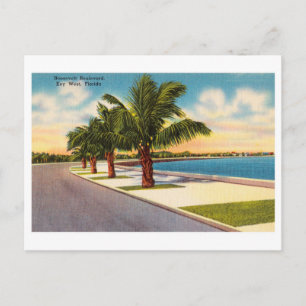 Vintage Key West Florida Roosevelt Blvd Postcard