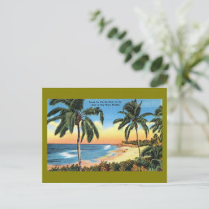 Vintage Key West ,Florida Travel Postcards