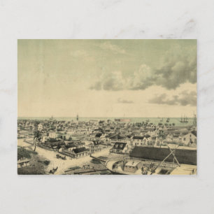 Vintage Key West Illustration Postcard