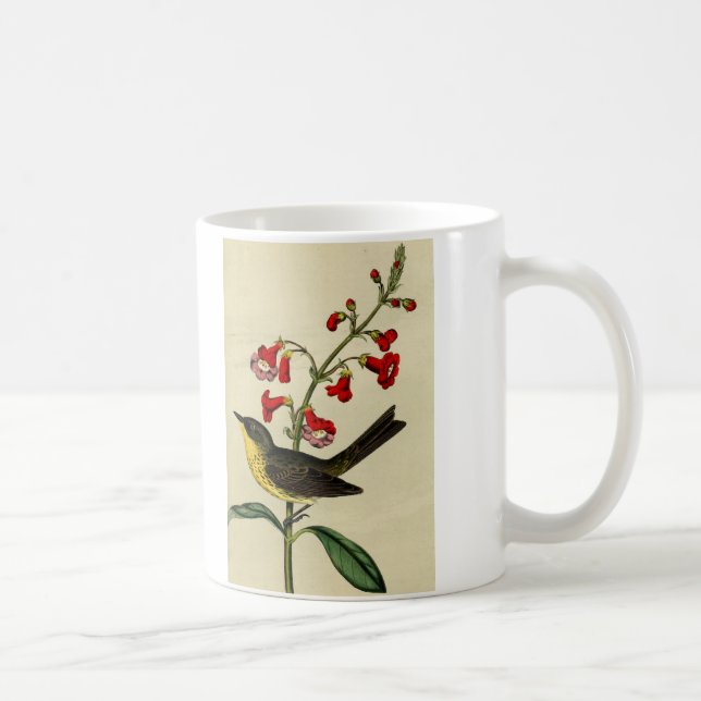 Vintage Kirtlands Warbler Bird Coffee Mug (Right)