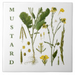 Vintage Kitchen Art: Mustard Herbs & Spices Plants Tile<br><div class="desc">"mustard spice kitchen herb", "cooking ingredient leaves", "vintage green plant flowers", "antique educational diagram illustration", "hot spicy plants flower", "cook spicey herby herbs", "chef flavours tastes seasoning", "gourmet dishes restaurant", "baker baking ceramic tiles", "foodie themed food foods"</div>
